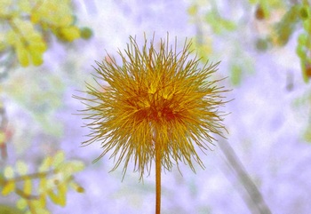 F 064C